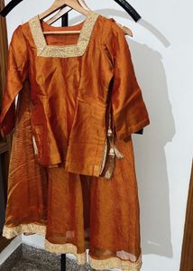 rust brown tissue silk zardozi  Lehenga Choli