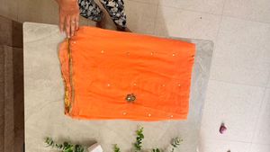 Orange Saree with Embellishments