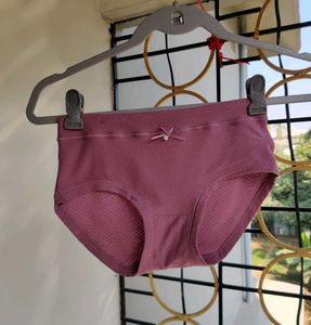 New Fancy Brief