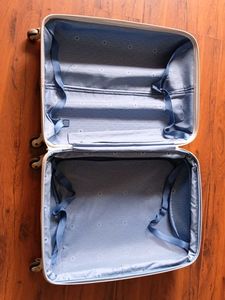 Delsey Silver Hard Shell Suitcase-Medium