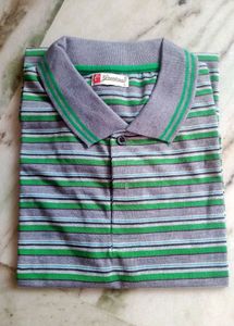 Striped Polo Shirt