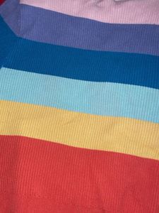 Rainbow Pleated Crop Top