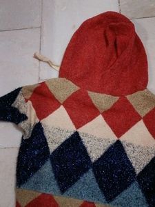 Cozy Argyle Knit Hoodie