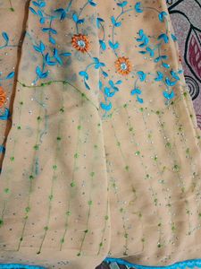 Light Orange Colour Saree