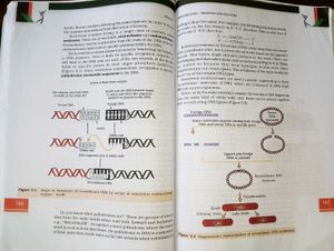 Biology Textbook for Class XII(2026-27)