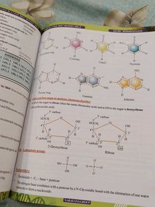 NEET &amp; II PUC Objective Botany Books