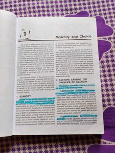 Introductory Economics for Major/Minor Courses