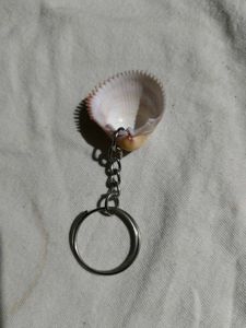 Unique Seashell Keychain