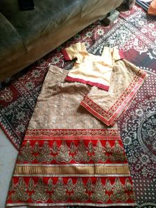 Stunning Lehenga Choli Set