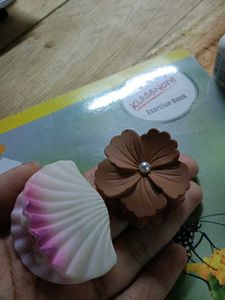 Cute Flower & Shell Hair Clips