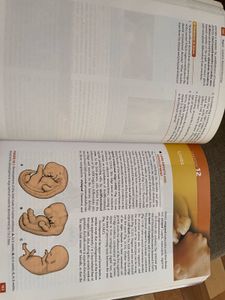 Langman's Medical Embryology 13th Ed