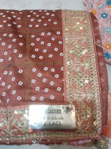 Elegant Peach Saree with Golden Embroidery
