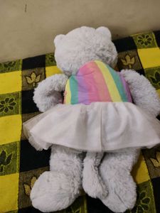 Cute Grey Teddy Bear with Rainbow Dress