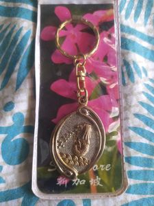 Souvenir- Singapore keychain
