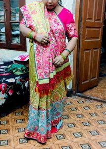 Pastel Multicolour Embroidered Saree
