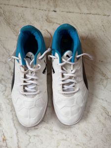 Puma Tenaz Indoor Badminton/Gym Shoes (UK 7)