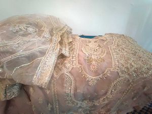 Designer Pakistani Party Wear Dress