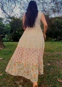 Elegant Ethnic Gown
