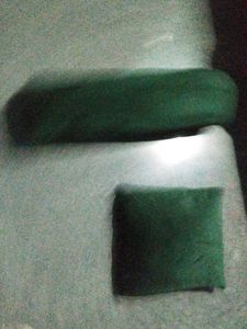 Decorative Green Bolster and Cushion  set