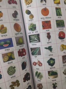 Saraswati Ladhu Chhatrakosh Dictionary