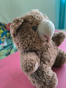 Cute Teddy Bear Plush Toy
