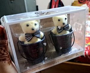 Decorative And Gifted Teddy Bear