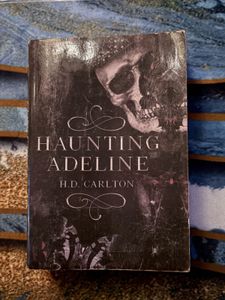 Haunting Adeline Book