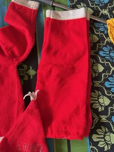 Cute Santa Outfit