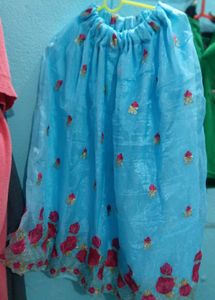 Beautiful Blue Embroidered Skirt