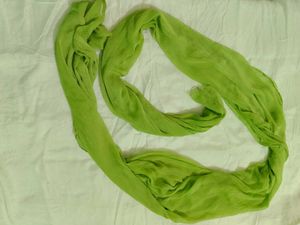 Beautiful Parrot Green Chiffon Duppata 💚