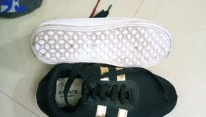 Sneakers Shoes Women's