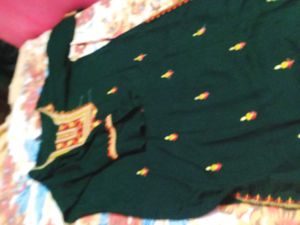 Beautiful Green Saree with Embroidery