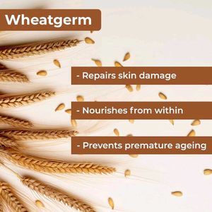 Good Vibes Wheatgerm Night Cream