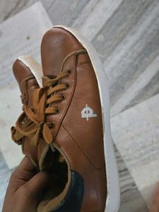 Men's Brown Casual Sneakers