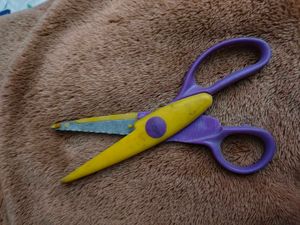 Friendly Scissors For Kids / Craft Scisors ✂