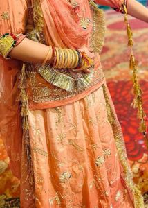 Beautiful rajputi poshak