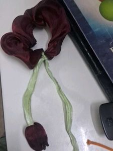 Scrunchie