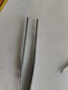 Dissection kit for anatomy first year