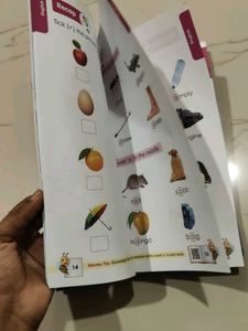 Next Play Books Set
