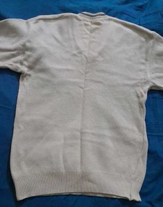 Pure Wool Sweater Pullover
