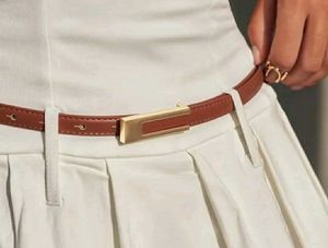 Metal Buckle Brown Belt