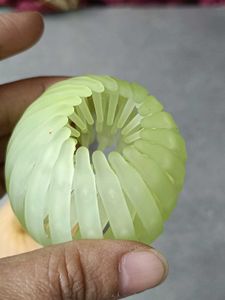 Colorful Hair Accessories