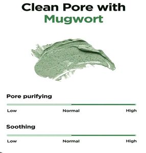 🪄 Isntree Mugwort Clay Mask