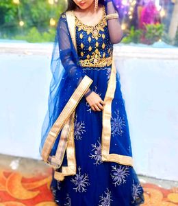 Stunning Blue Embellished Lehenga Choli