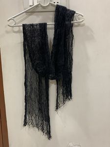 New N Unused Fashion Stole Dupatta