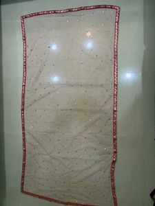 bridel Pink Lehenga Choli