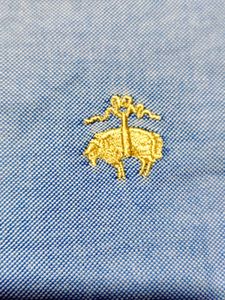 BROOKS BROTHERS Men's Blue Short Sleeve Button-Dow