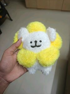 dog cutie