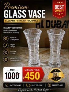 Set of 2 Clear Glass Vases