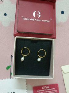 Golden Pearl Drop Hoop Earrings